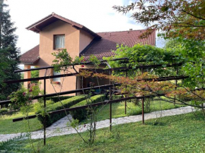 Villa Solis